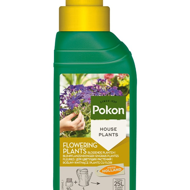 Pokon Flüssigdünger Blühpflanzen