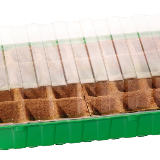 Minigewächshaus multifunktional (x24) - Bakker