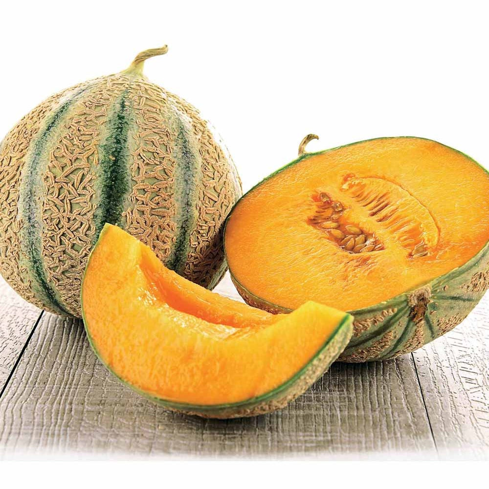 zuckermelone aufbewahrung Saatgut Zuckermelone Stellio F1 - Cucumis melo stellio f1