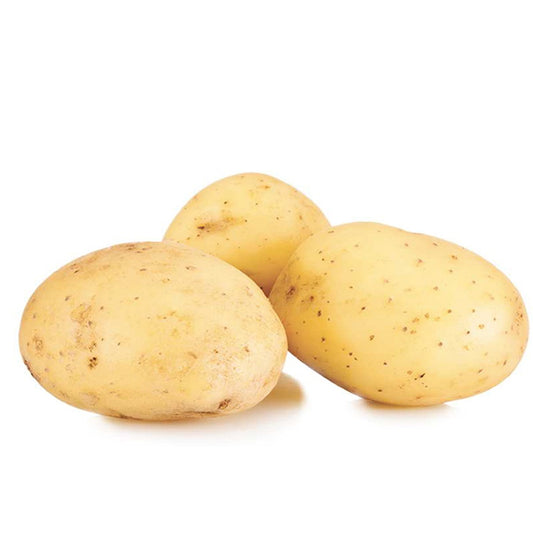 Etincelle-Kartoffeln (x25) - Solanum tuberosum etincelle - Gemüsegarten