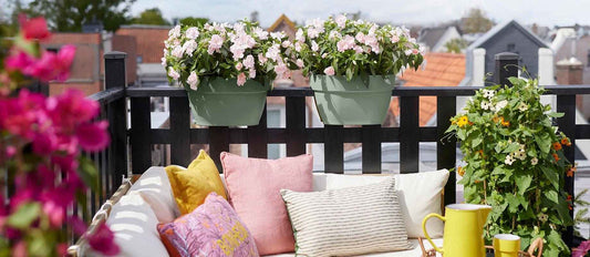 Die schönsten Pflanzen und Blumen für Ihren Balkon