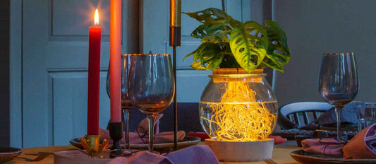 Top 5 Tipps für ein grünes Weihnachtsfest