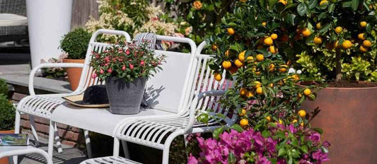 Natur genießen: Wählen Sie Ihren Gartentrend für den Sommer