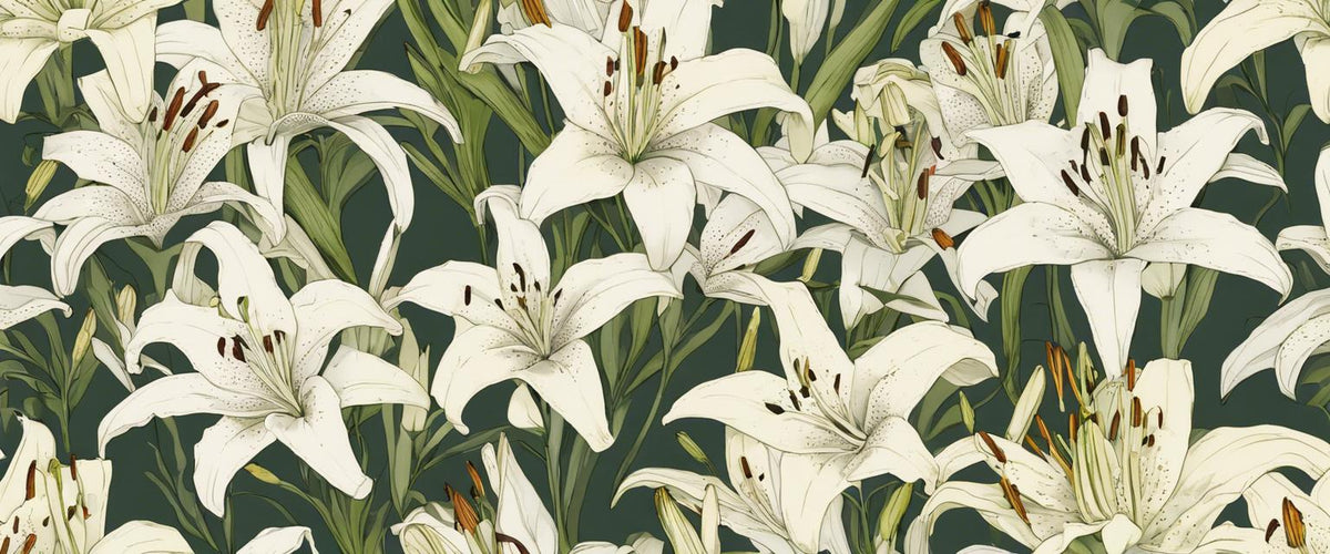 Die beliebtesten Liliensorten