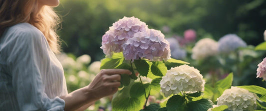 Schritt-für-Schritt-Anleitung zum Pflanzen einer Hortensie