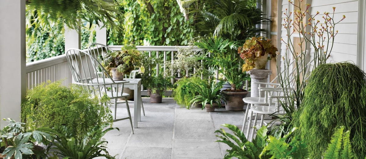 Wie schafft man einen urbanen Dschungel im Garten?