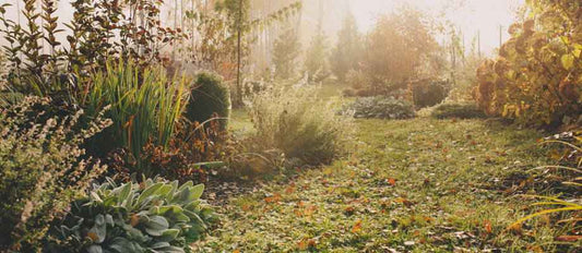 Winter-Checkliste: Machen Sie Ihren Garten winterfest