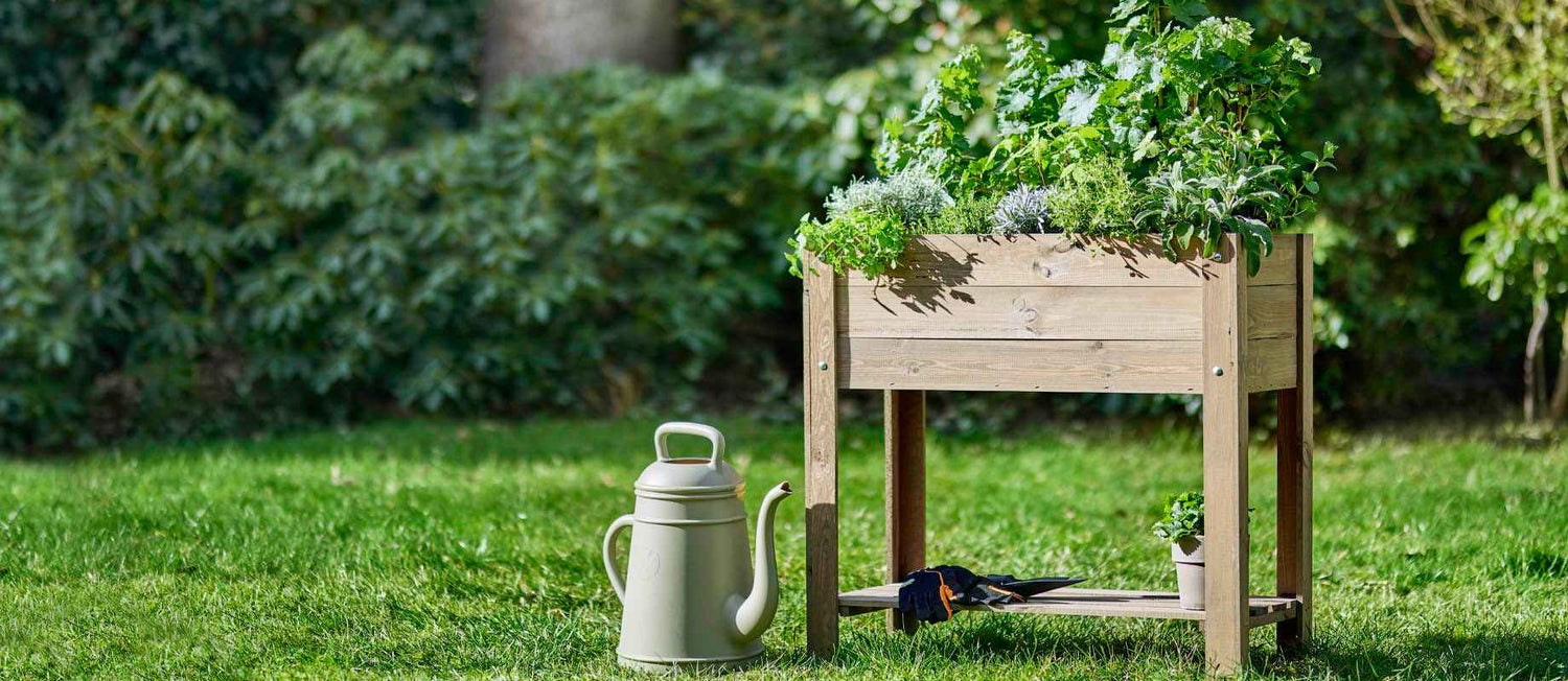 Gemüsegarten anlegen Was, wie und wann