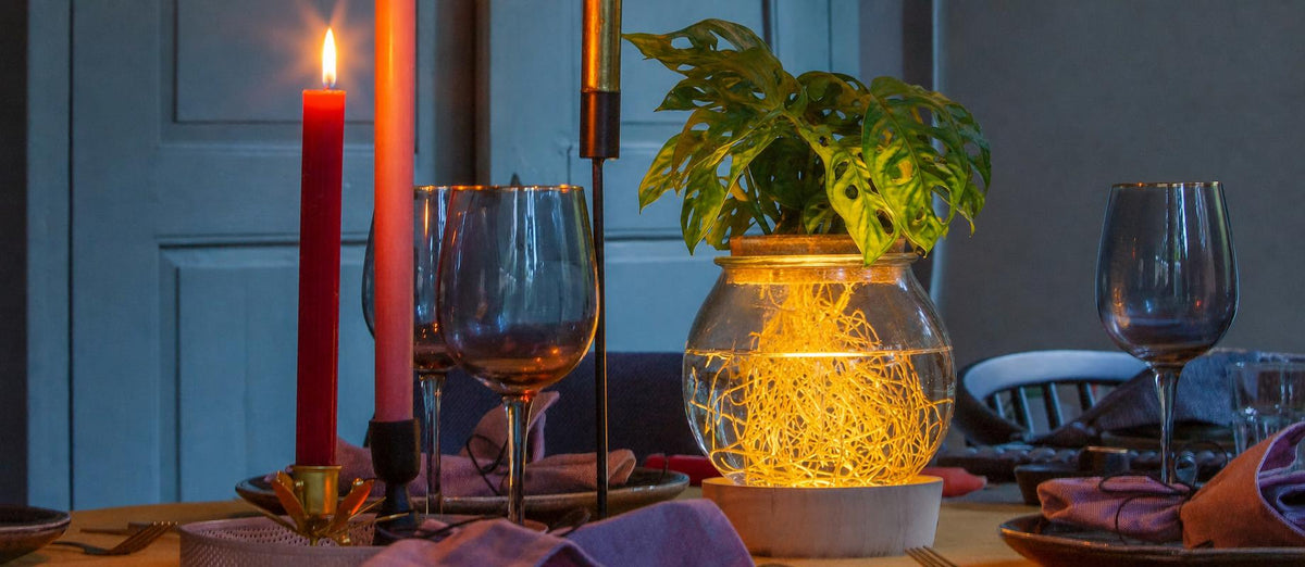 Top 5 Tipps für ein grünes Weihnachtsfest