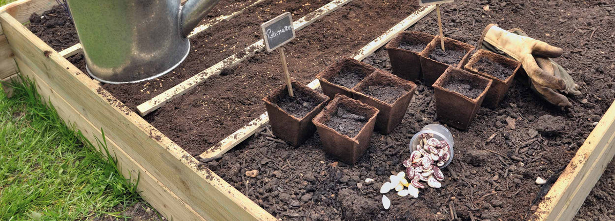 Samen für den Gemüsegarten