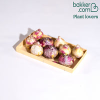 Hyazinthe 'Blue Sky' (x9)