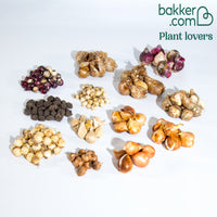 Frühlingsblumenzwiebel Mischung (x200)