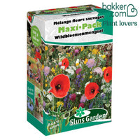 Wildblumenmischung MaxiPack