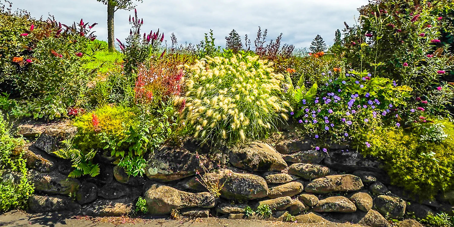 Die Green Days gehen weiter mit bis zu 50%