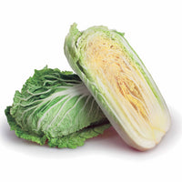 Chinakohl Pe-Tsai - Brassica rapa pekinensis pe-tsai - Gemüsegarten