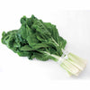 Mangold Verte a Carde Blanche 2 - Beta vulgaris cicla verte à cardes blanches 2 - Saatgut