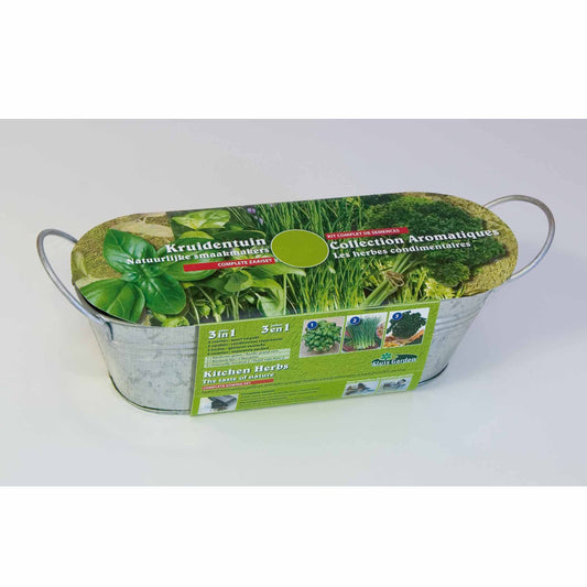 Das Set Aromaten im Blumenkasten Zink - - Bakker