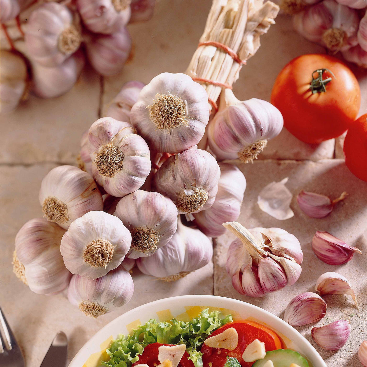 Knoblauch ‘Germidour’ - Bakker