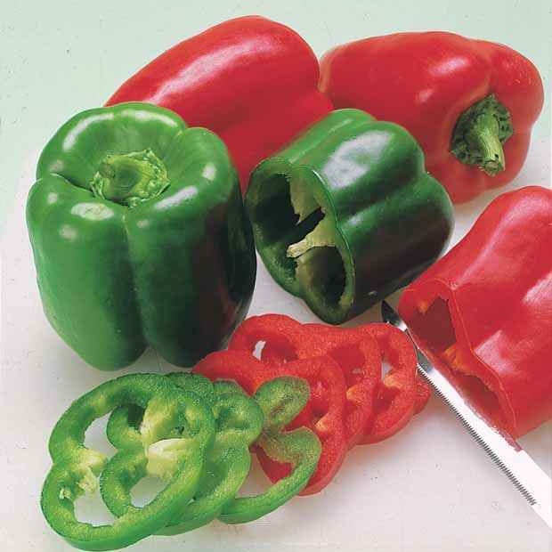 Capsicum annuum - Spanischer Pfeffer