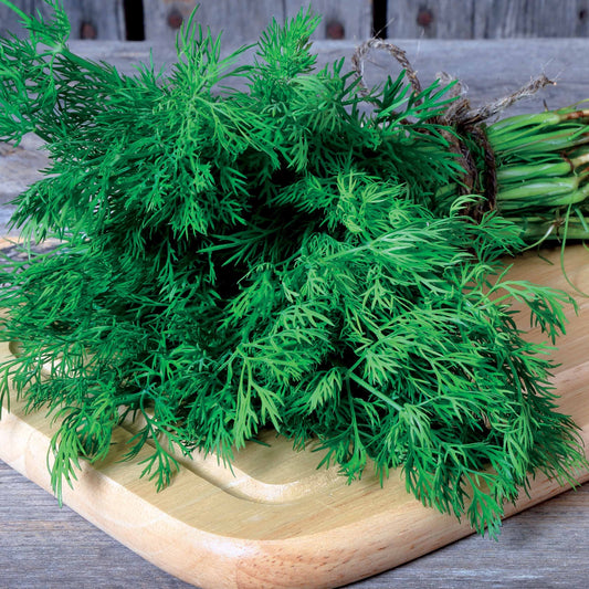 Dill Bouquet - Bakker