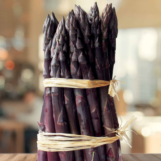 Roter Spargel Rosalie - Bakker