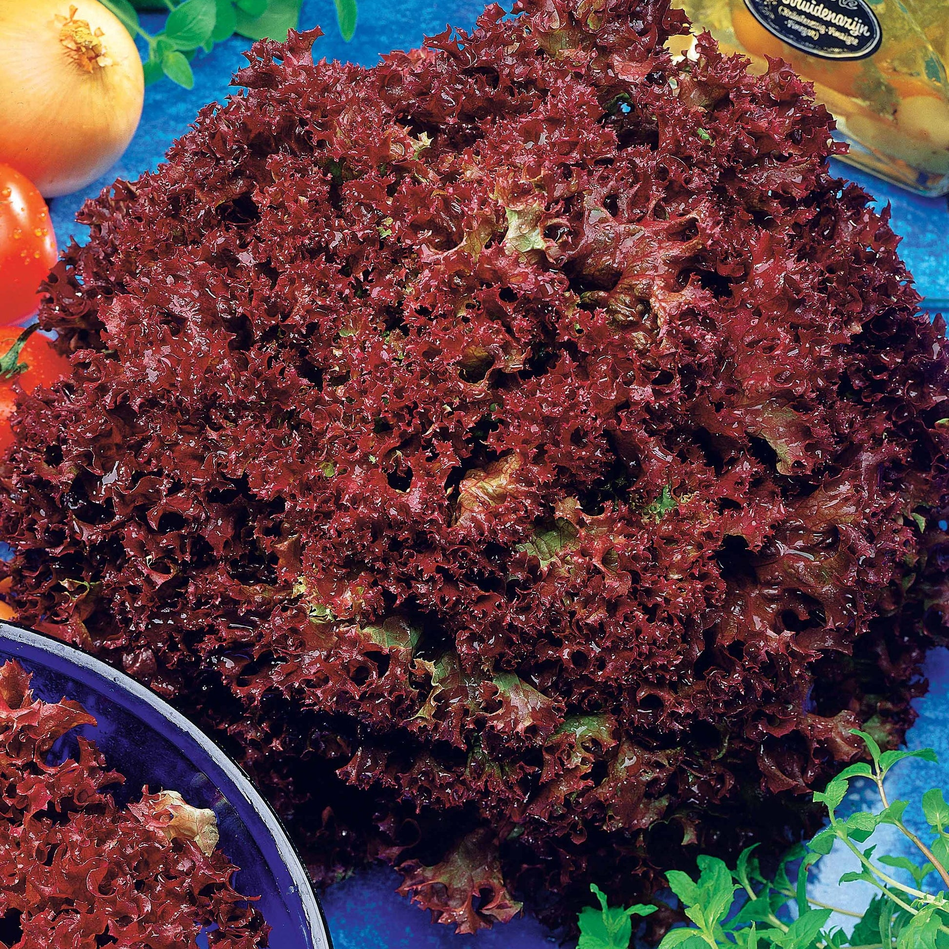 Schnittsalat Mischung (Eichblatt, Lollo Rossa, Red Sala) - Collection salades à couper : Feuille de chêne, Lollo rossa, Red sala - Saatgut