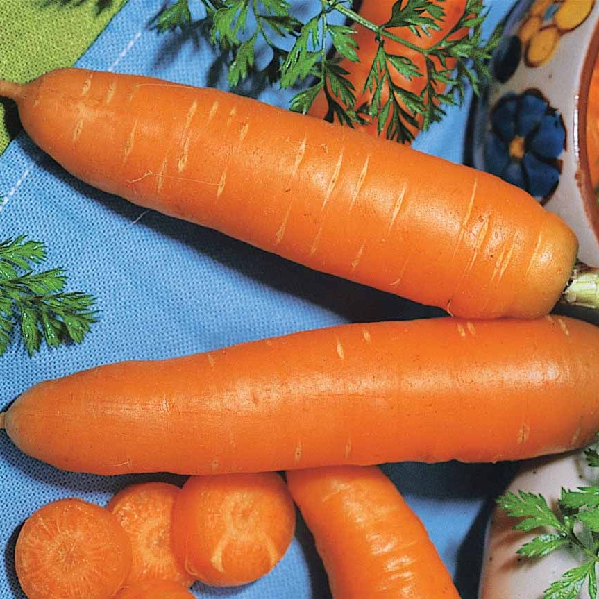 Karotten Mischung (Nantaise, Carentan, Colmar) - Collection de carottes: 40g Nantaise, 5gCarentan, 5 g Colmar - Saatgut