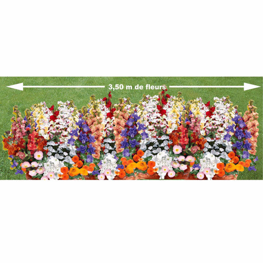 Duftende Blumenmischung - Bakker