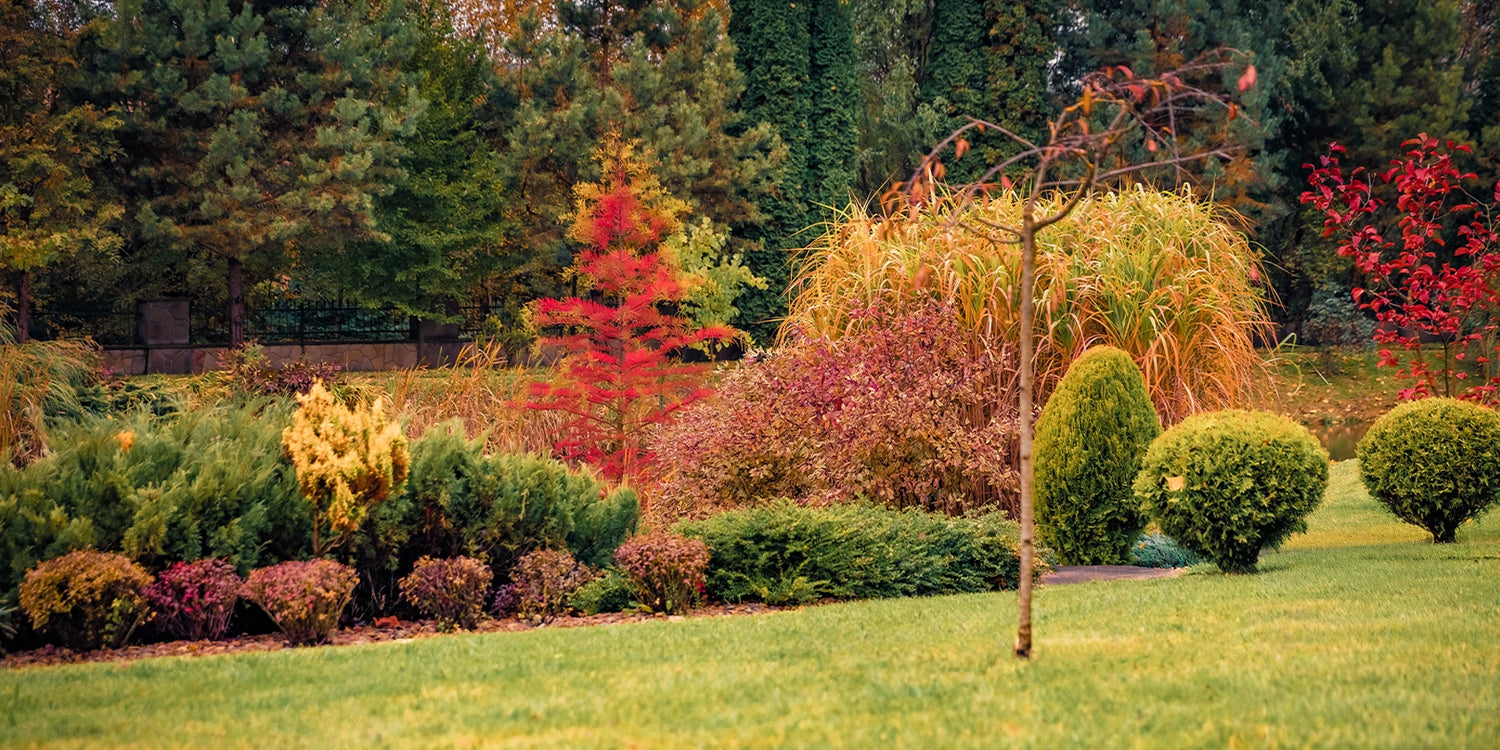 Herbstfarben bis zu 30% Rabatt!