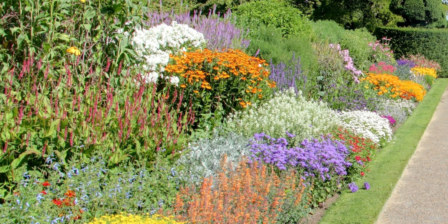 Farbenfrohe Blumenbeete