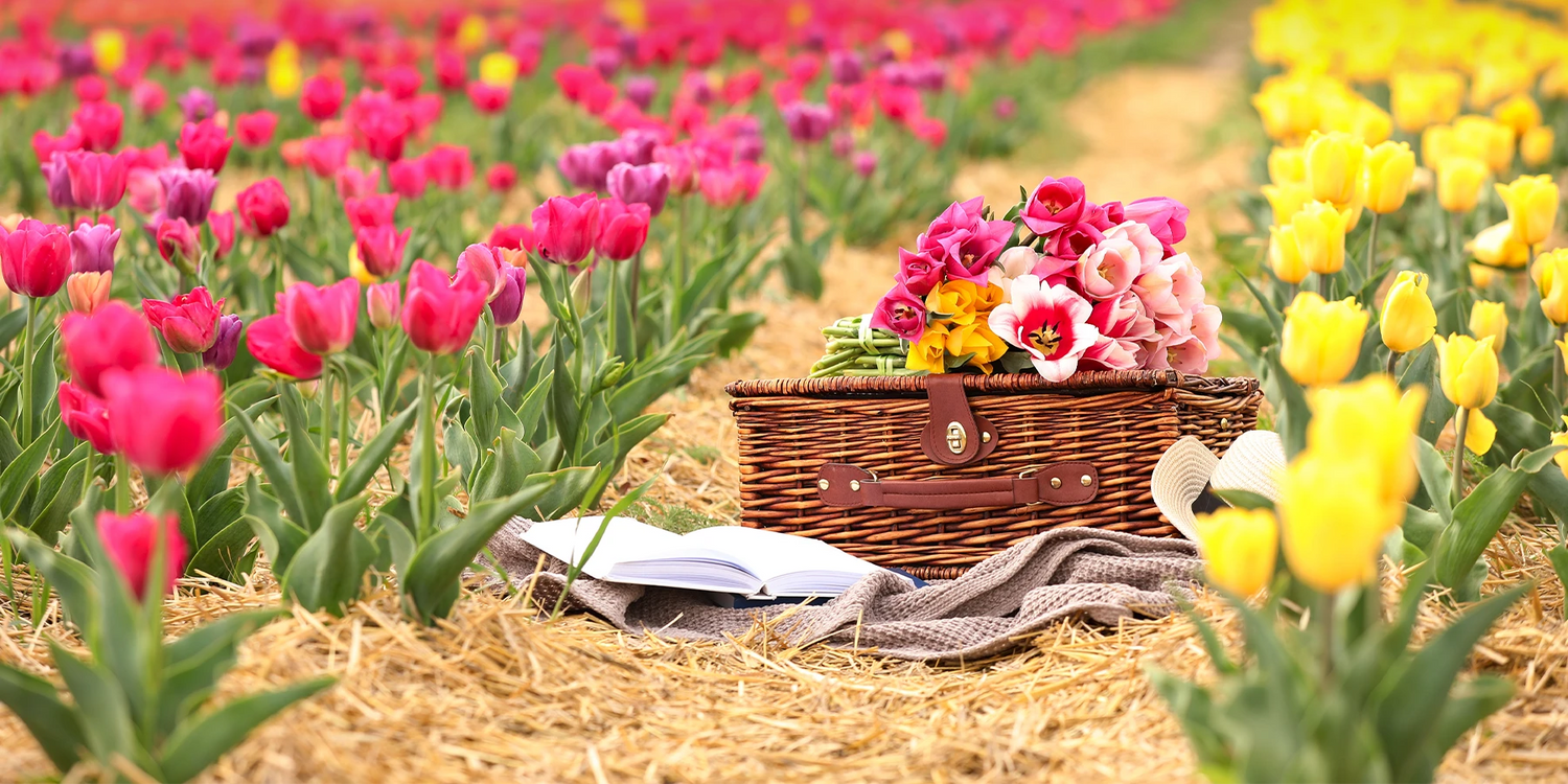 Ein Pflückgarten im Frühling
