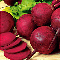 Rote Beete 'Kogel 2' - Beta vulgaris kogel 2 - Gemüsegarten