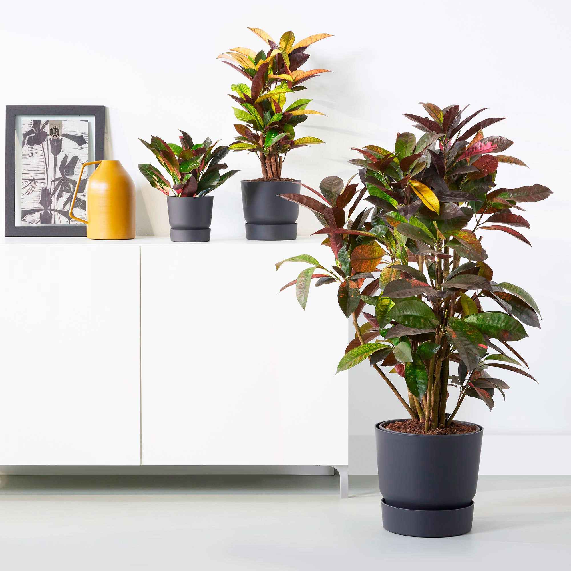 NPW Cowboyhut Blumentopf Aus Keramik – Western-Design Für Drinnen & Draußen
