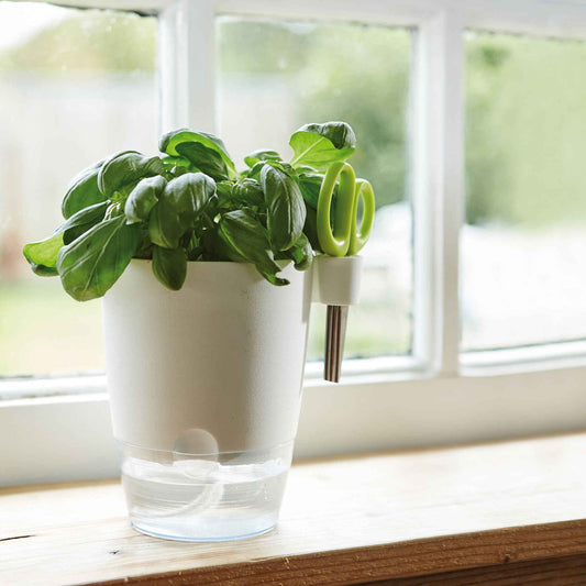 Elho Kräutertopf Brussels Herbs allin1 rund anthrazit - Bakker