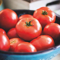 Tomate 'Moneymaker' - Solanum lycopersicum moneymaker - Gemüsegarten