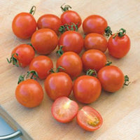 Kirschtomate 'Koralik' - Solanum lycopersicum 'koralik' - Saatgut