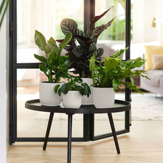 Elho Blumentopf Vibes Fold rund weiß - Innentopf - Bakker