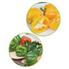 Paprikapaket Capsicum 'Patente Paprika' - Biologisch 10 m² - Gemüsesamen - Capsicum annuum jubilandska - Saatgut