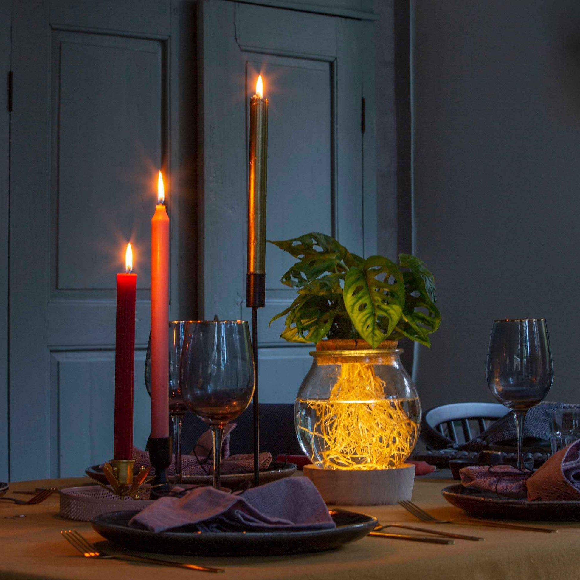 Zusammenstellungen von Zimmerpflanzen - Hydro-Glühbirne P15 + LED - 