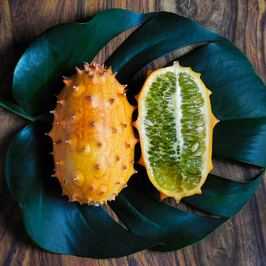 Kenia-Gurke (Metulon) - Bakker