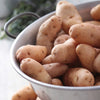 Kartoffel Horn von Gatte (Pink fir Apple) (x25) - Bakker