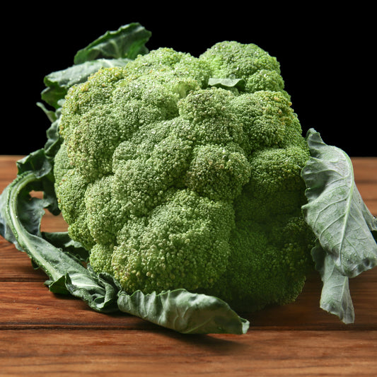 Kohl Brokkoli 'Calabrese Natalino' - Bakker