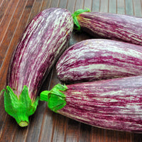 Aubergine Listada de Gandia - Bakker