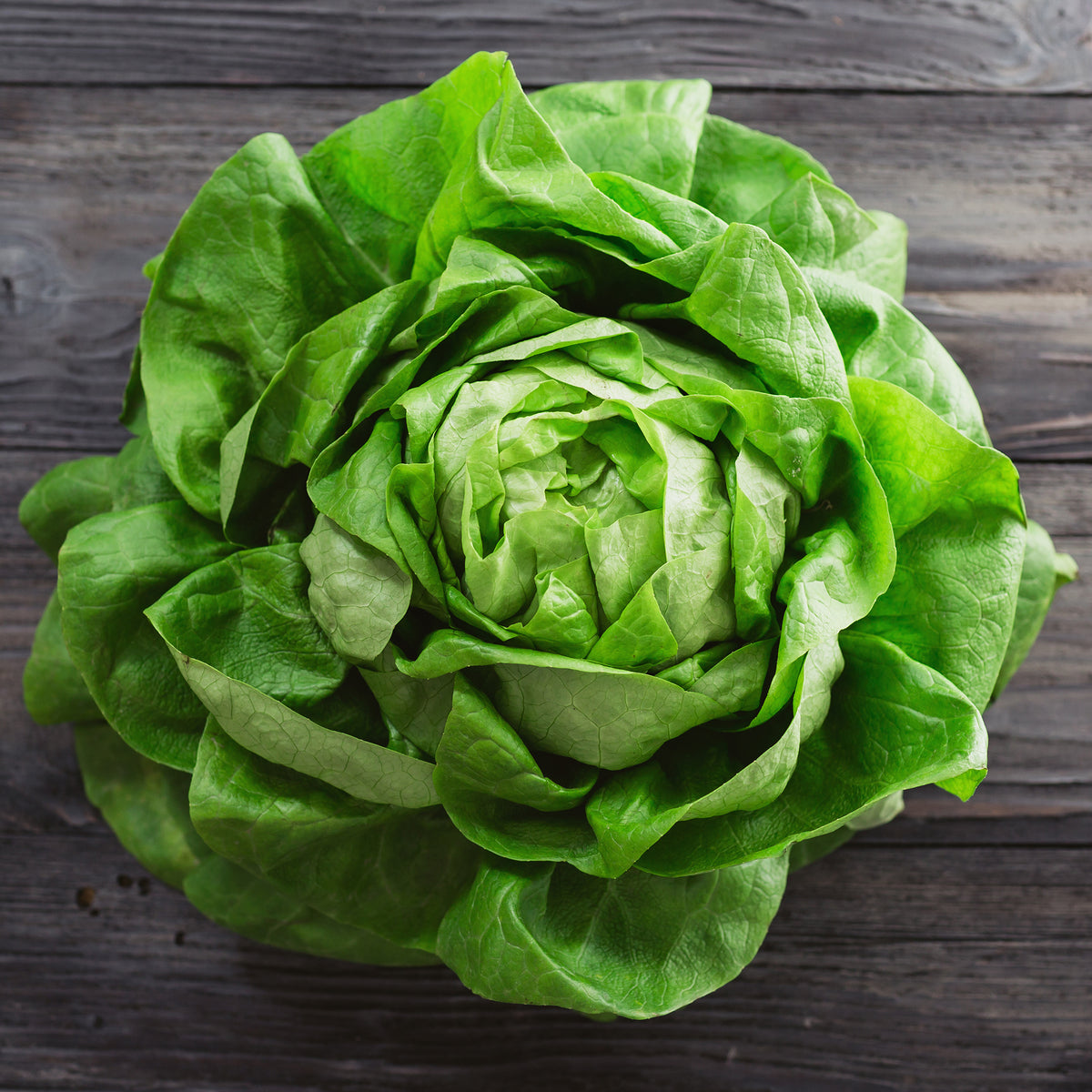 Kopfsalat Rigoletto