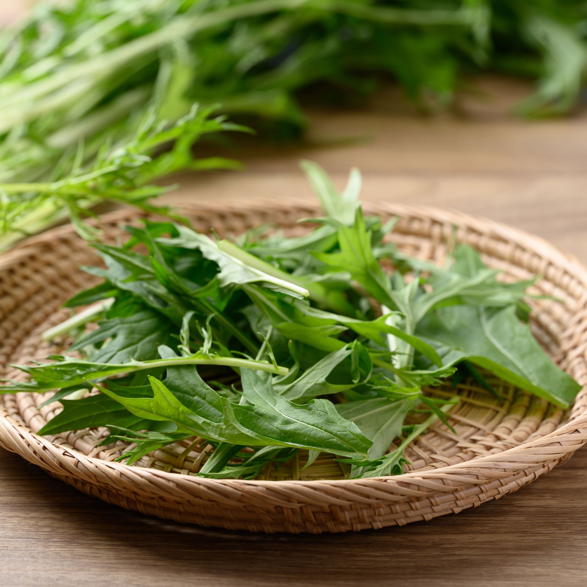 Saatgut Japanischer Salatkohl Mizuna Bio - Brassica rapa japonica mizuna