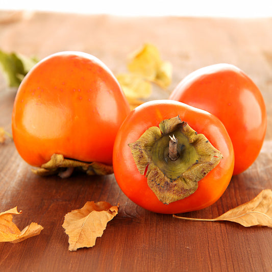 Kakipflaume Rojo Brillante - Bakker