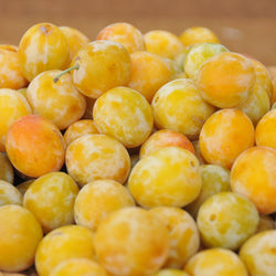 Pflaume ‘Reine-Claude d’Oullins’ - Bakker