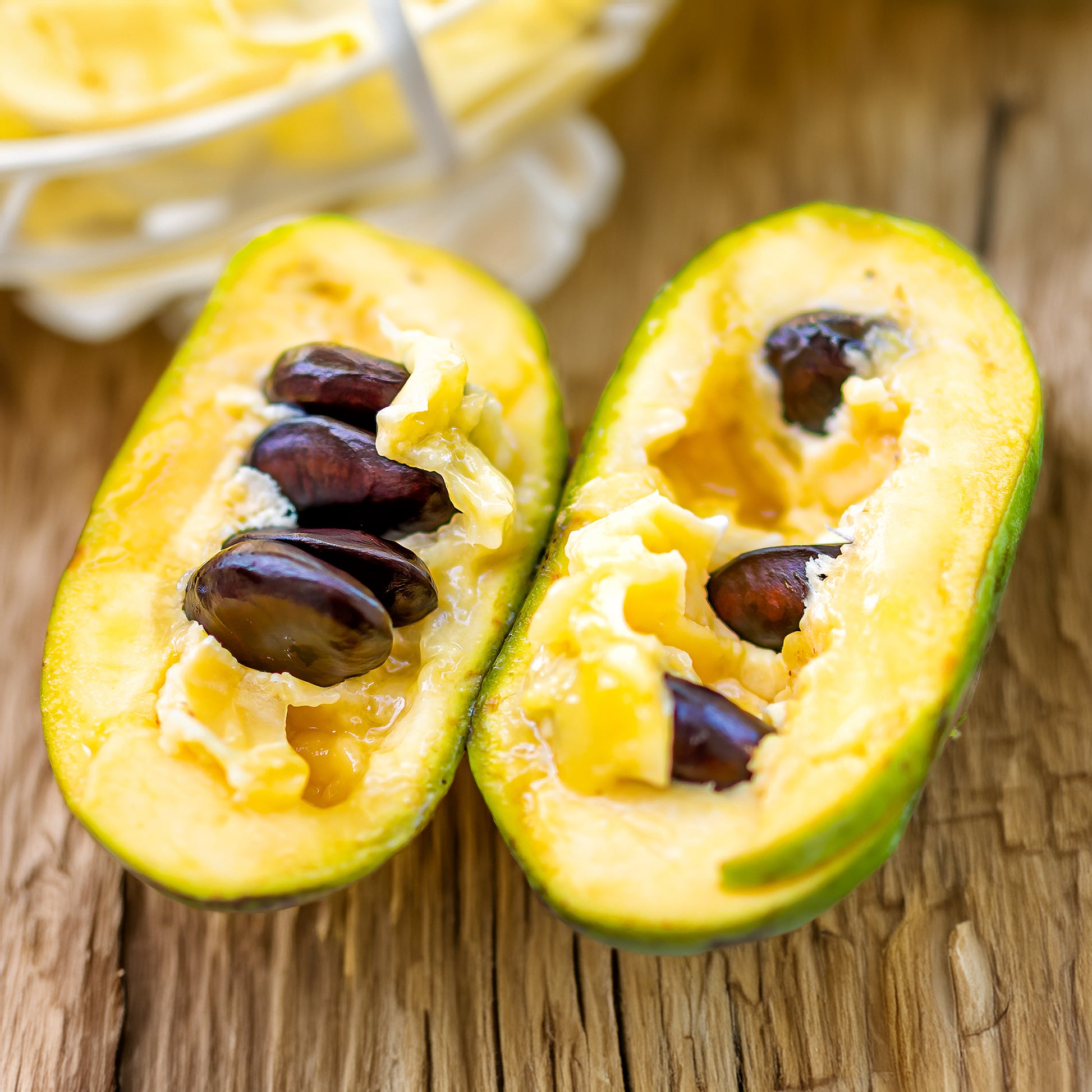 Exotische Obstbäume - Indianerbanane (Pawpaw) - Asimina triloba