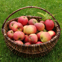 Apfel Ingrid Marie - Bakker