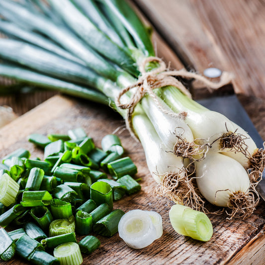Frühlingszwiebel 'White Lisbon' - Bakker